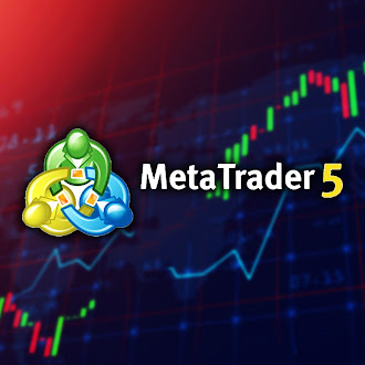 MT5 Hosting a Fast and intuitive trading platform